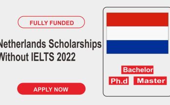 Scholarships Without IELTS in the Netherlands in 2022 | Study in the Netherlands for Free