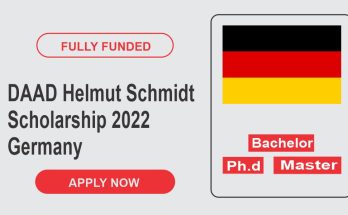 DAAD Helmut Schmidt Scholarship 2022 in Germany | Fully Funded