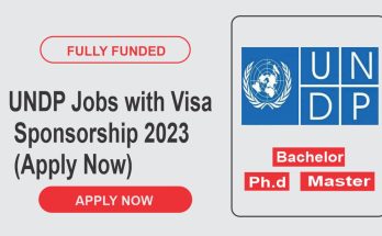 UNDP Jobs with Visa Sponsorship 2023 (Apply Now)