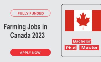 P&H Farming Jobs in Canada 2023 (With Visa Sponsorship)