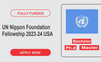 UN Nippon Foundation Fellowship 2023-24 to USA (Fully Funded)