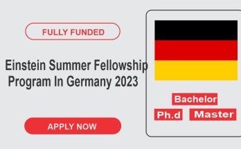 Einstein Summer Fellowship Program In Germany 2023! Fully Funded