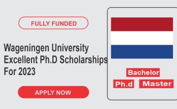 Wageningen University Excellent Ph.D Scholarships For 2023