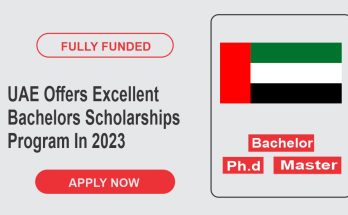 UAE Offers Excellent Bachelors Scholarships Program In 2023