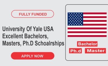 University Of Yale USA Excellent Bachelors, Masters, Ph.D Schoalrships In 2024