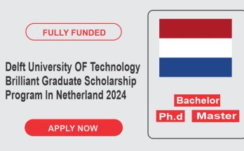 Delft University OF Technology Brilliant Graduate Scholarship Program In Netherland 2024