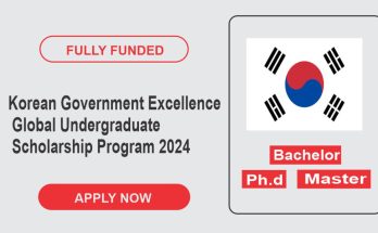 Korean Government Excellence Global Undergraduate Scholarship Program 2024