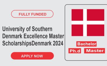 University of Southern Denmark Excellence Masters Scholarships Program In Denmark 2024