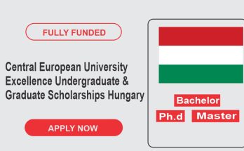 Central European University Excellence Undergraduate & Graduate Scholarships In Hungary