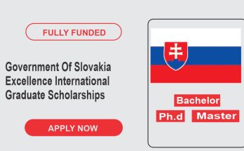 Government Of Slovakia Excellence International Graduate Scholarships Program In 2024