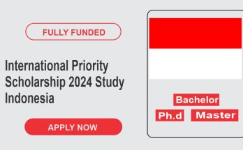 International Priority Scholarship