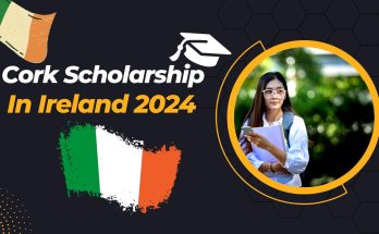 Cork scholarships 2024