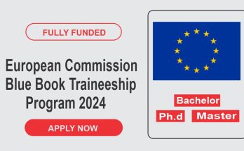 European Commission Traineeship 2024