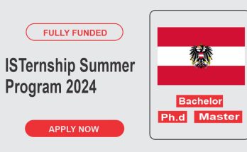 ISTernship Summer Program