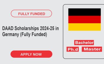 DAAD Scholarships