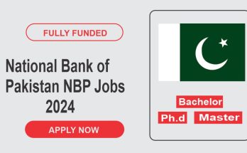NBP Jobs 2024