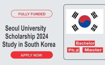 Seoul University Scholarship