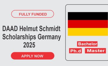 DAAD Helmut Schmidt Scholarships