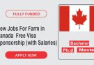 New Jobs For Farm in Canada  Free Visa Sponsorship (with Salaries) | Apply Now