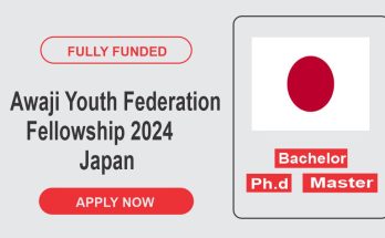 AYF Fellowship 2024