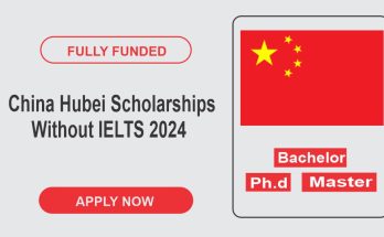 Hubei Scholarships 2024