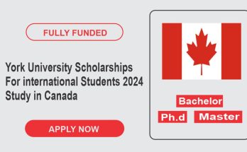 York university scholarships