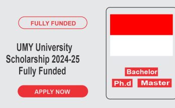 UMY University Scholarship