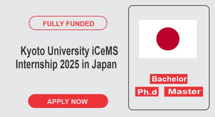 iCeMS Internship
