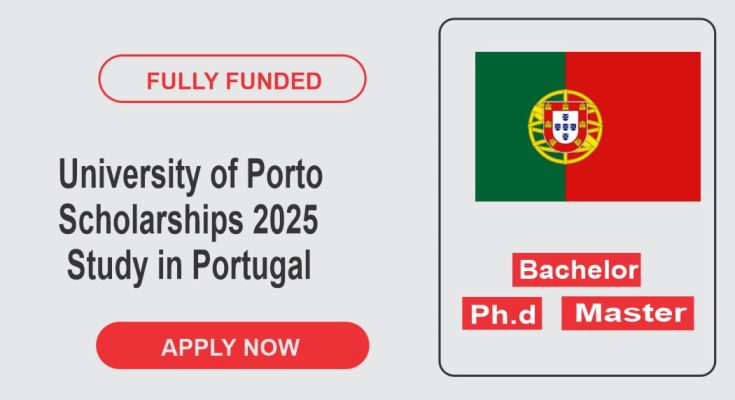 Porto Scholarships