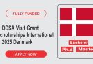 DDSA Visit Grant Scholarships International Students 2025 | Study in Denmark